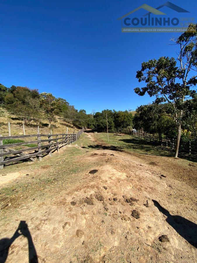 WhatsApp Image 2025-08-01 at 09.06.31 (31).jpeg